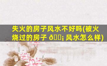 失火的房子风水不好吗(被火烧过的房子 🐡 风水怎么样)